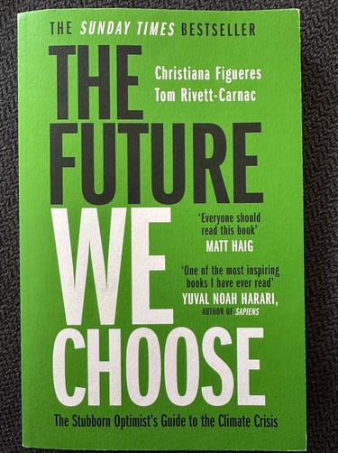 The future we choose book review