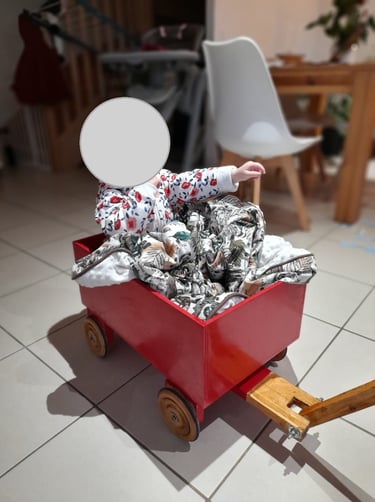 Tout droit sortie des Fous du Volant