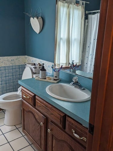 Before Pictures of Guest Bathroom in Teal