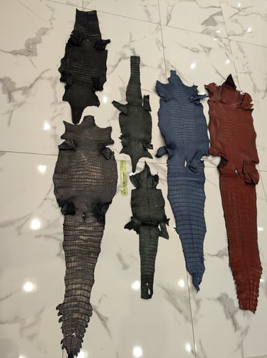 peau  entier alligator 