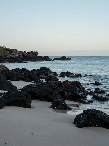 A wide-angle photography shot of a serene Brazilian coastal landscape at dawn, with soft morning light hitting the dark volcanic rocks and light grey sand. The water is a calm baby blue. Sophisticated and minimalist composition, South American setting.