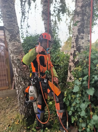 arboriste équipé pour la grimpe au pied de l'arbre