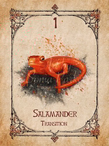 Salamander card from the animal spirit oracle deck