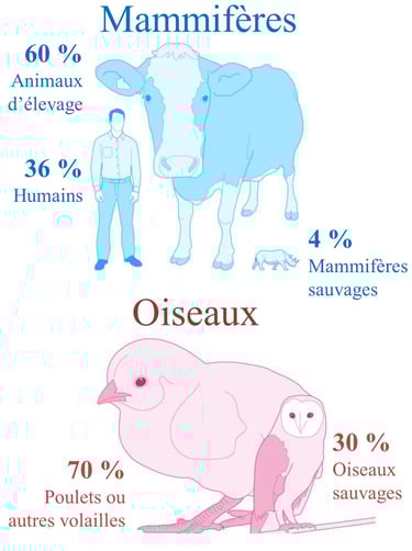 Distribution de la biomasse des mammifères et des oiseaux - L'influence humaine est immense