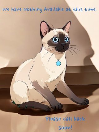 NORTH OF ENGLAND SIAMESE CAT RESCUE IN SHEFFIELD