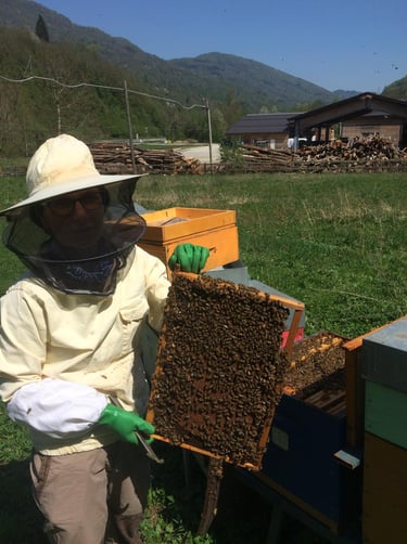 Laura con la tuta dell'apicoltore che regge un telaietto ricoperto di api in un prato