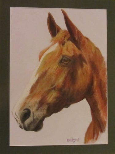 Commissioned portrait of chestnut horse, taken from owner's photograph, drawn in soft pastel
