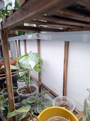 Barrina grow lights for indoor houseplants used in my Quiet at Home plant setup