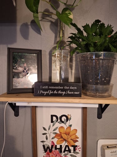 Floating wall shelves used for plants and home deco