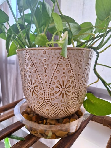 Ceramic beaded planter set for indoor houseplants with drainage and saucers