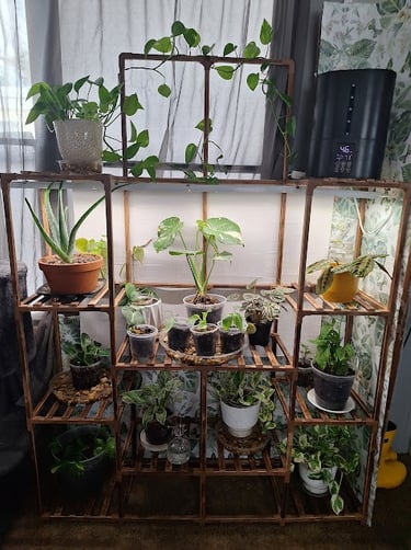 Tall indoor plant stand used for displaying houseplants in a cozy plant nook.