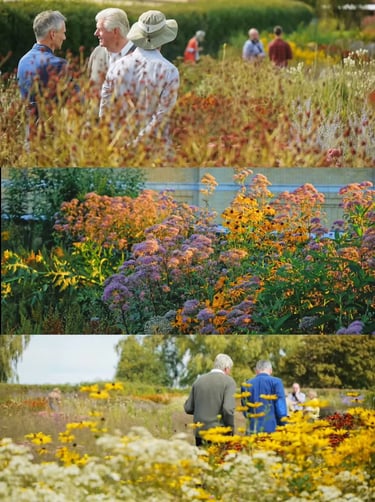 Dutch landscape designer Piet Oudolf known for naturalistic planting and modern garden design philos