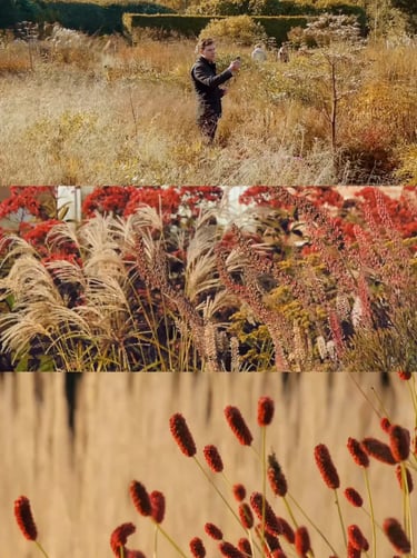 Dutch landscape designer Piet Oudolf known for naturalistic planting and modern garden design philosophy.