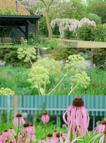 Naturalistic perennial garden inspired by Piet Oudolf with seasonal textures, grasses and flowing pl