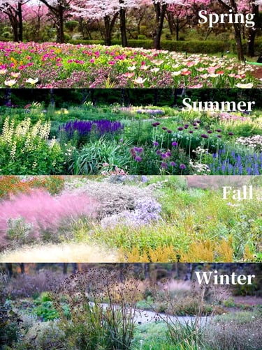 Dutch landscape designer Piet Oudolf known for naturalistic planting and modern garden design philos