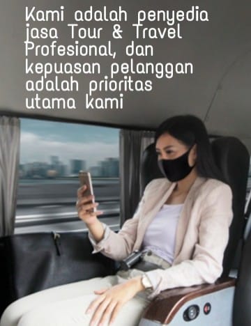 Professional tour and travel services passenger in mask using phone inside a luxury bus.