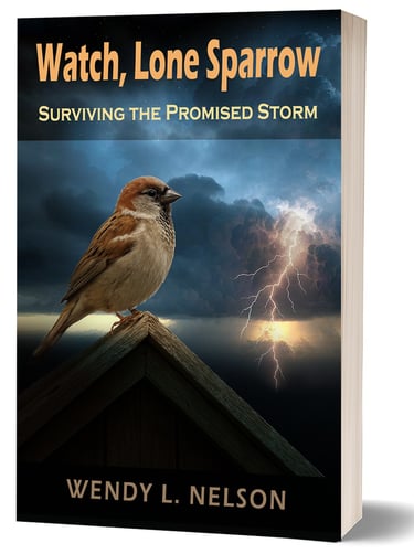 Watch, Lone Sparrow Christian fiction book series