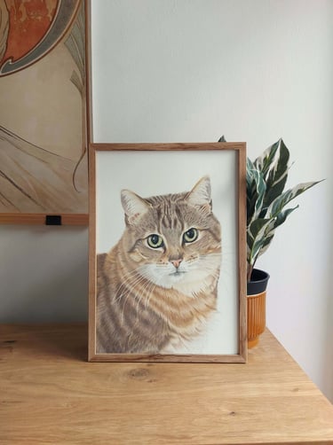 Framed A3 colored pencil cat portrait on a table next to a plant