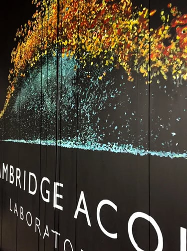 Close-up on angled logo mural with black background and yellow and teals dots, Cambridge Acoustic