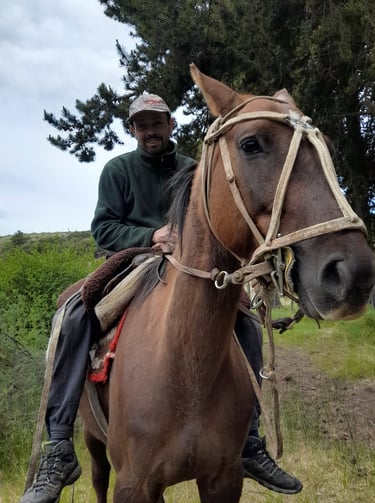 A person on horseback in a wooded area.