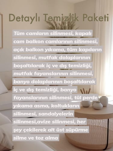 Detaylı Temizlik Paketi