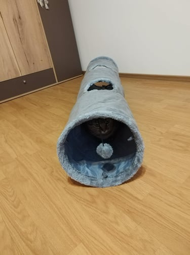 Plush indoor cat play tunnel with crinkle material and hanging ball toy, safe steel frame