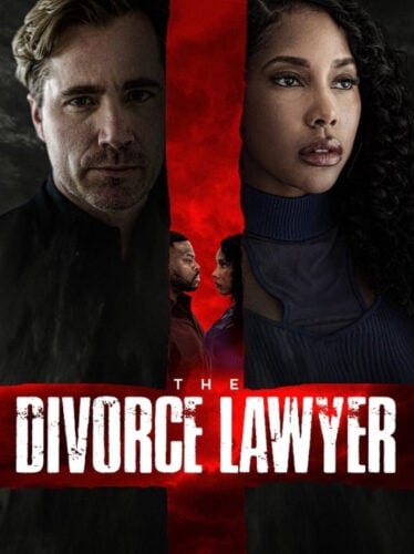 The Divorce Lawyer