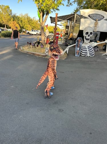 kid in costume halloween camping