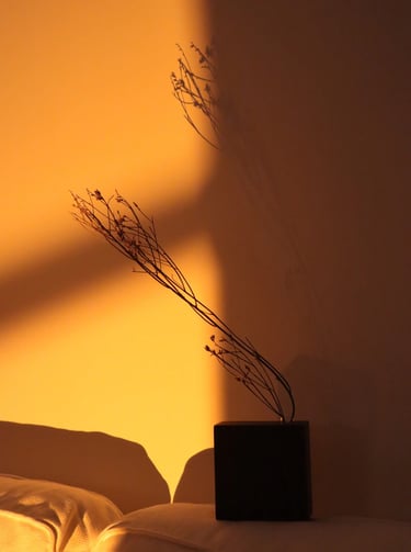 Dried branches in a minimalist black vase casting shadows on a wall in warm golden hour light.