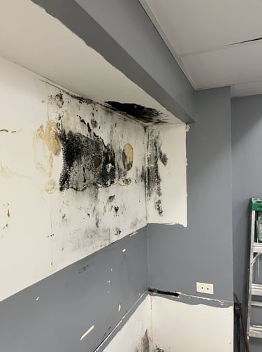 wall containing black mold from moisture