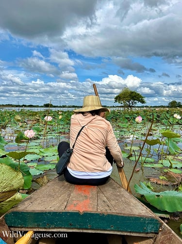 Balade en bateau à travers les lotus, Siem Reap, Cambodge