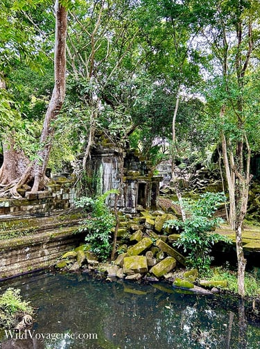 Temple Beng Mealea, Cambodge