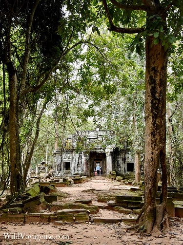 Temple de Ta Som, Siem Reap, Cambodge