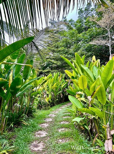 Jardin botanique de Siem Reap, Cambodge