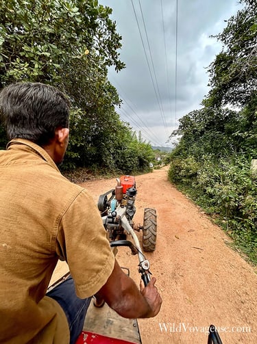 Balade en tracteur dans la campagne de Sigiriya
