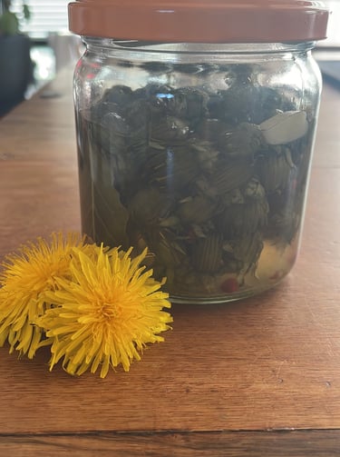 Kapern aus Löwenzahn-Blühten-Knospen