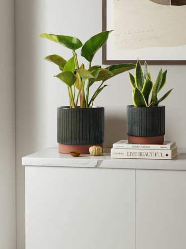 Black ceramic indoor planters with wood base and drainage holes for modern houseplant styling