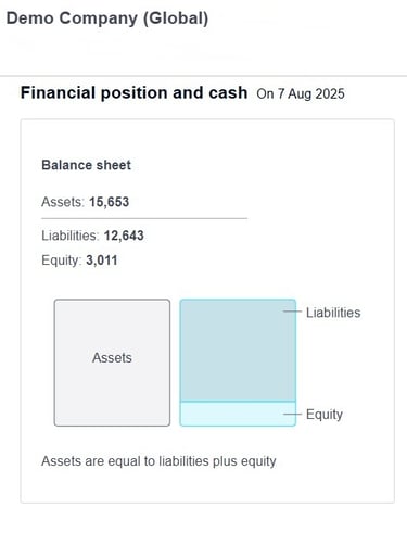 Xero Demo Company - Image Representation
