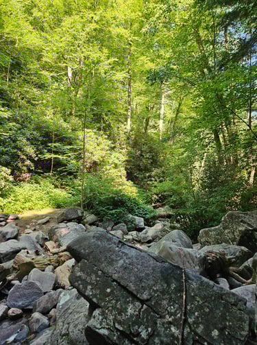 Smoky Mountains National Park, Tennessee--Hiking paradise for all skill levels.