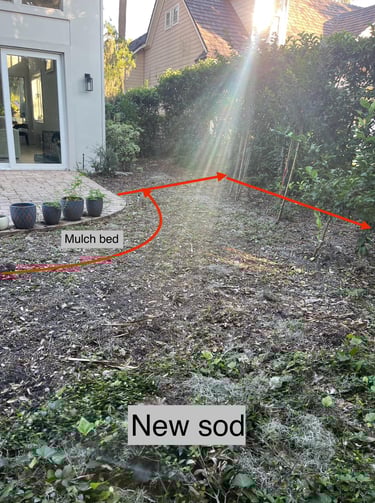 Landscaping project before in Jacksonville FL