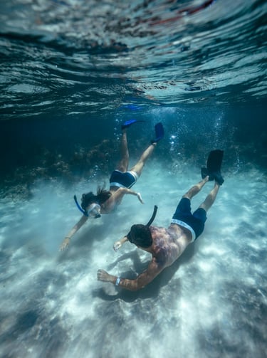 two people happily freediving