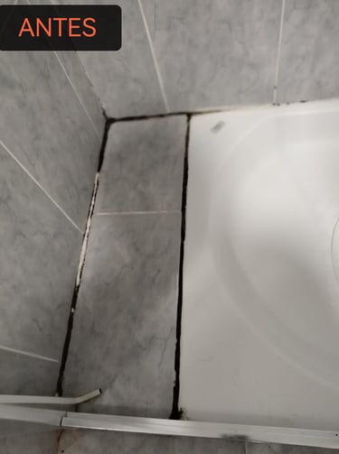 estado inicial de una ducha de baño con acumulación de moho negro en las juntas de los azulejos
