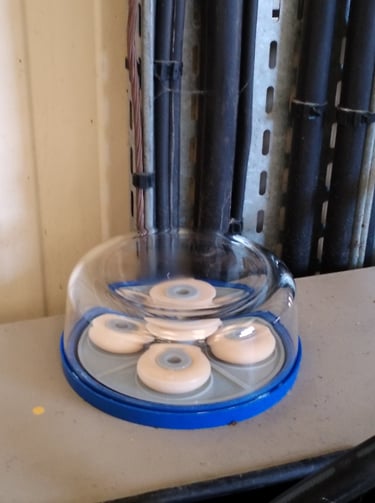 Dispositif harmonisation géobiologue Bretagne Morbihan Loire-Atlantique