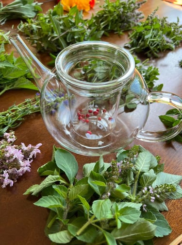 des plantes fraîches et une théière en verre