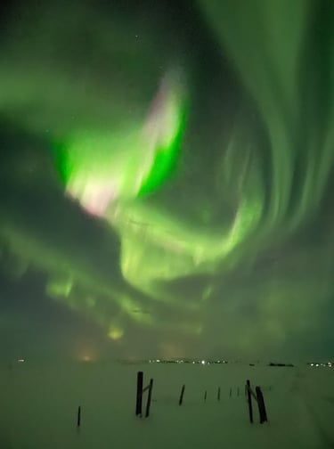 Aurora borealis or Northern Lights near Selfoss, Iceland