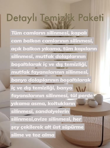 Detaylı Temizlik Paketi