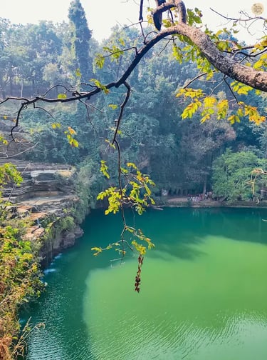 Green pool at the base of Pandav Falls, Panna Tiger Reserve, Madhya Pradesh