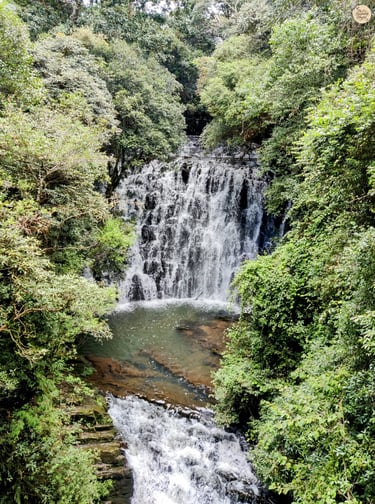 Elephant Falls, First Tier – The Hidden Beginning of Shillong’s Three-Step Wonder