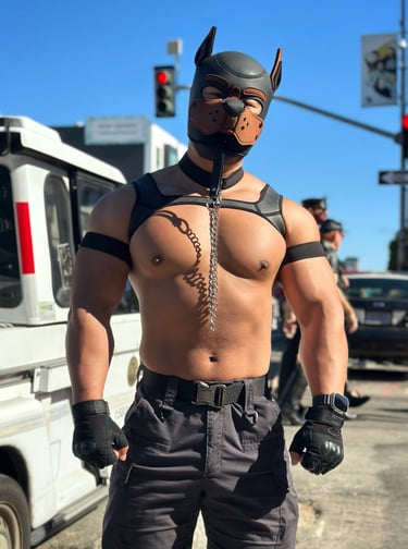 A man on the street in a pup mask.