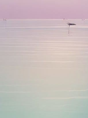 therapy for stress and overwhelm, burnout. coping strategies, reducing anxiety and panic attacks